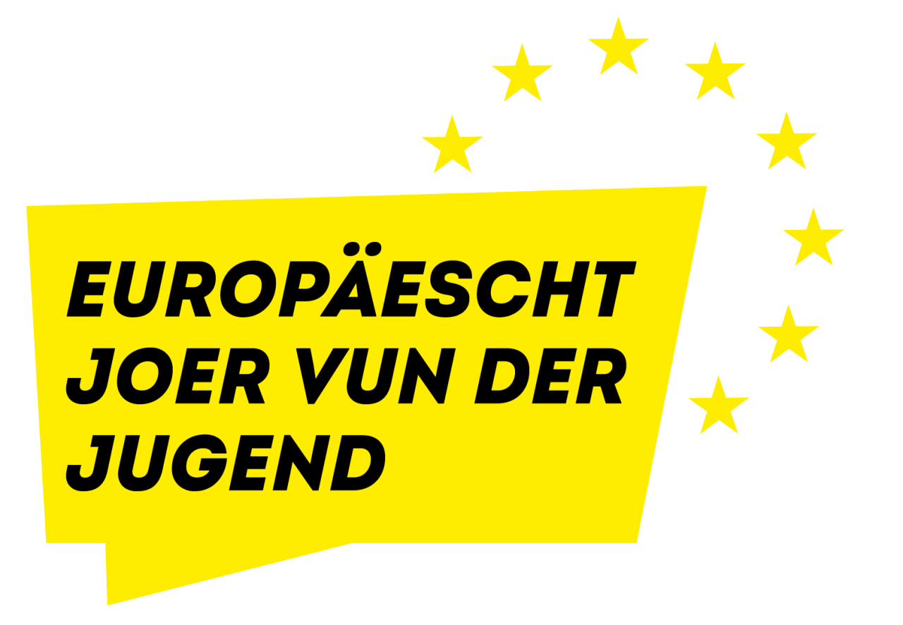 Année européenne de la Jeunesse l’animation socioéducative au cœur