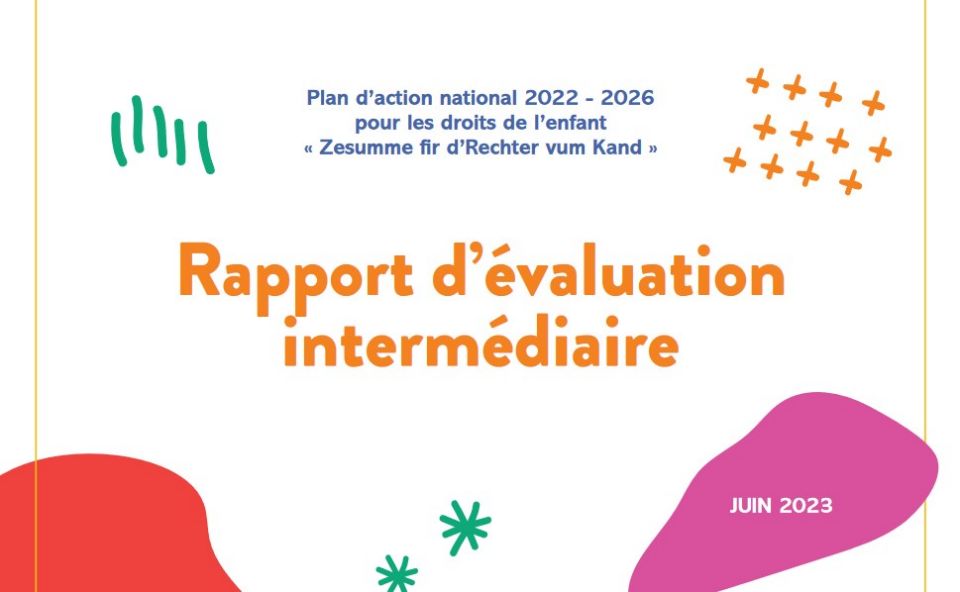 Bilan Interm Diaire Du Plan Daction National Pour Les Droits