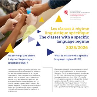 The classes with a specific language regime 2025/2026