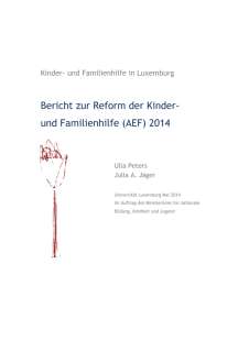 Bericht zur Reform der Kinder- und Familienhilfe (AEF) 2014