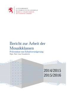 Bericht Mosaik_2014-2015_2015-2016