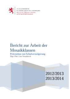 Bericht zur Arbeit der Mosaikklassen 2012-2013 / 2013-2014