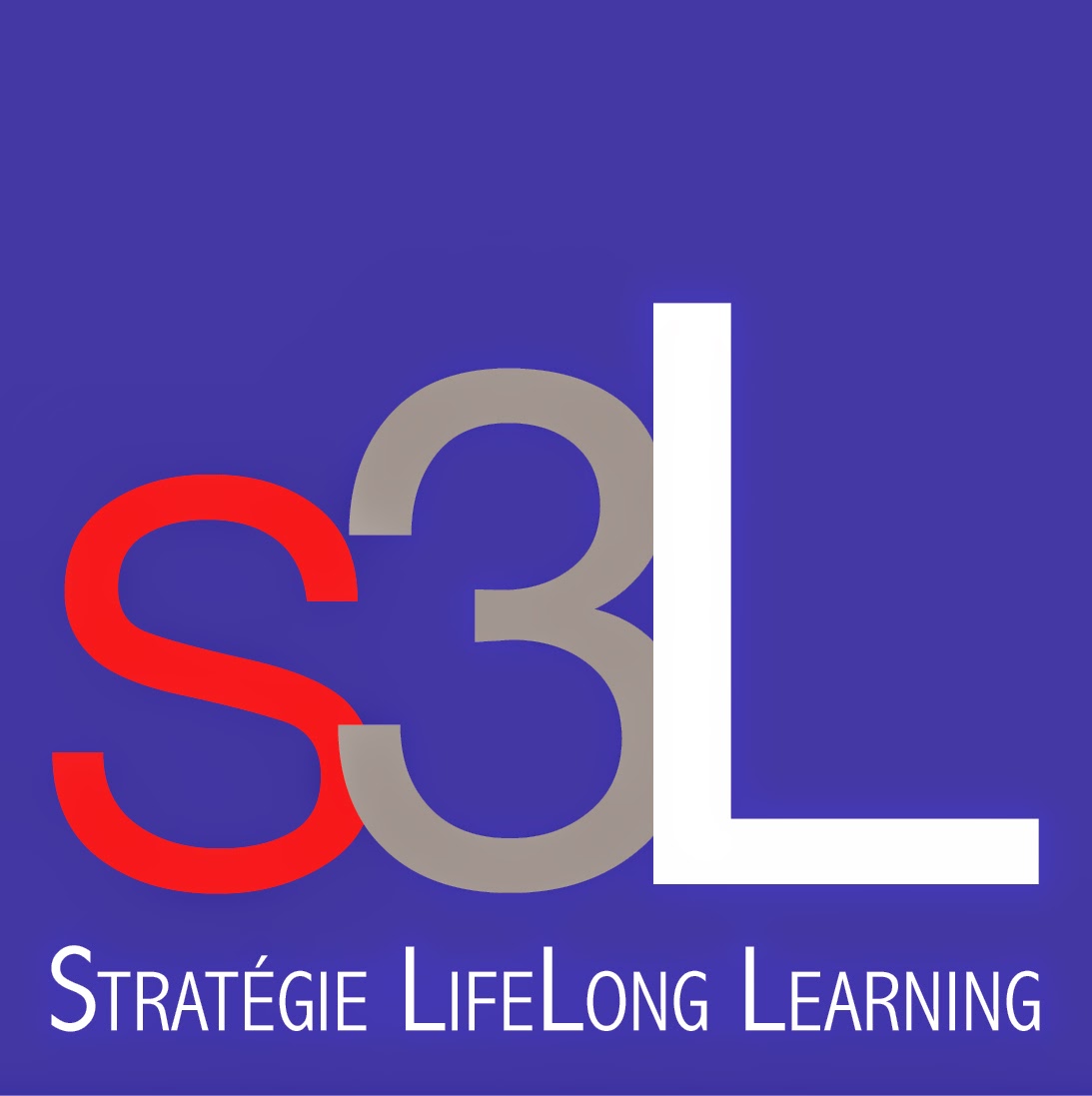 S3L - stratégie lifelong learning